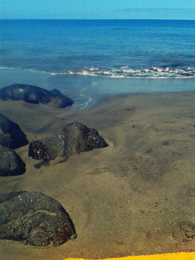 Apartamento A 1 Minuto De La Playa De Sardina Лас-Пальмас-де-Гран-Канария Экстерьер фото
